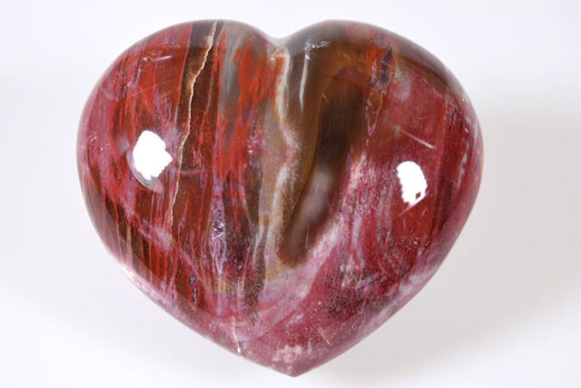Fossil Wood Heart